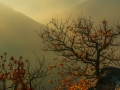 Sonstiges-12