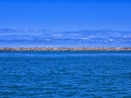 Hirtshals