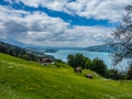Sonstiges-251