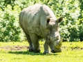 Zoo_Salzburg-25