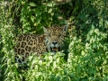 Zoo_Salzburg-35