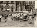 Photokina 2014-15