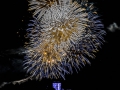 Schuetzenfest 2014-29