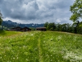Sonstiges-234
