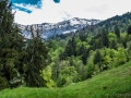 Sonstiges-254