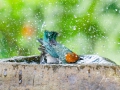 JUE_0123