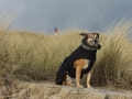 Sylt 2018