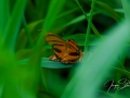JUE_6018