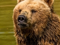 Zoo_Salzburg-6