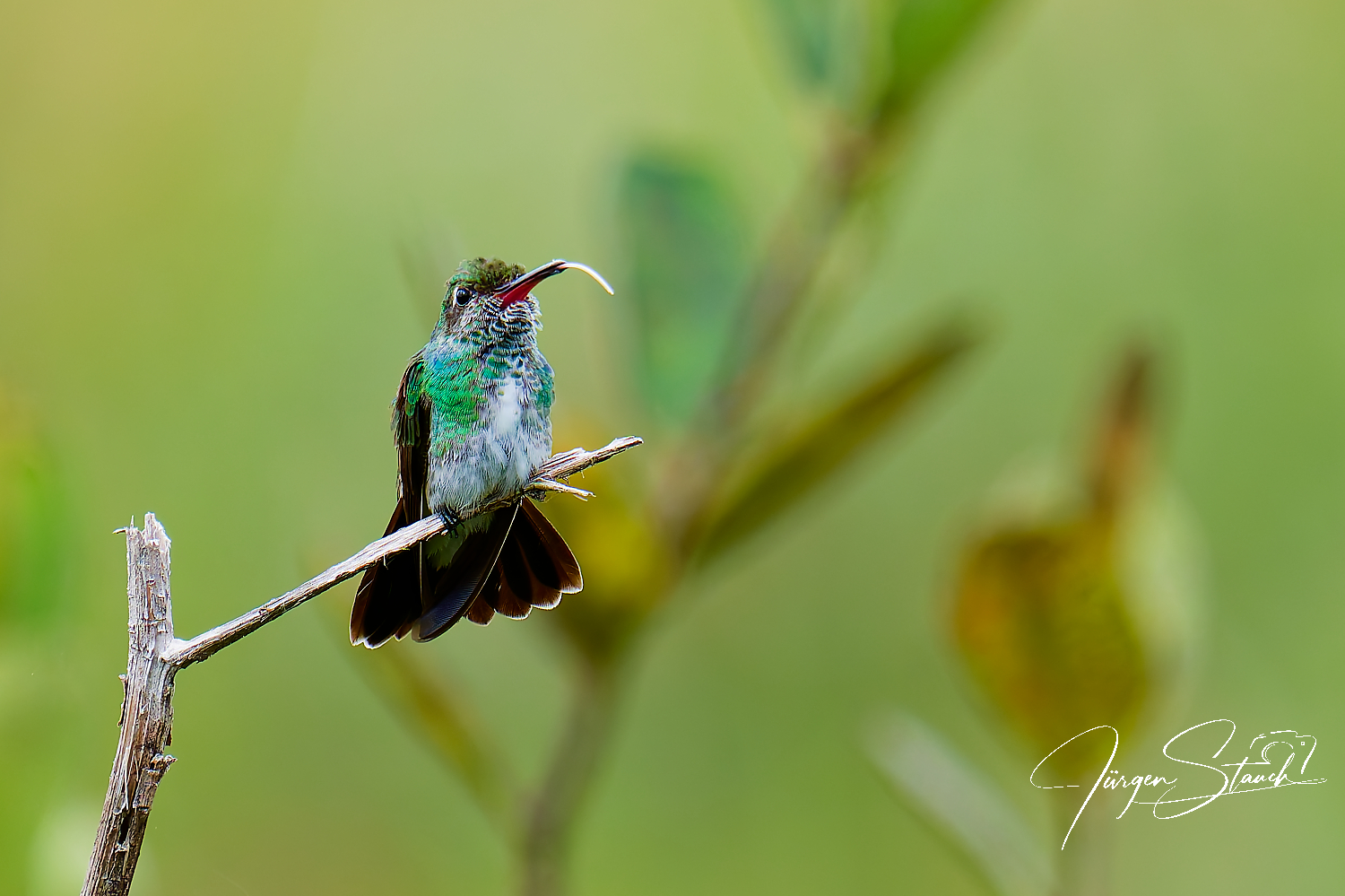Kolumbienreise Teil 1 – Ins Orinokobecken nach Inirida