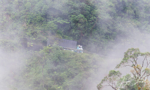 Kolumbienreise Teil 2 – Gruppenreise mit Vogelbeobachtung